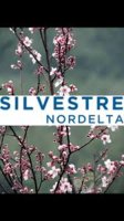Lote En Venta Silvestre Nordelta Al Agua Financia