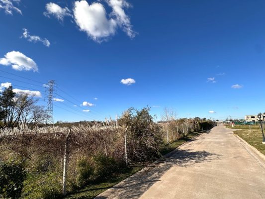 Venta Terreno 15.000 M² Para Desarrollo Tigre