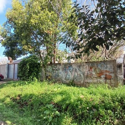 Venta Lote 10X65 Pacheco Tigre Ideal Inversor