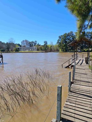 For Sale House in the Delta with dock without Rio Capitán