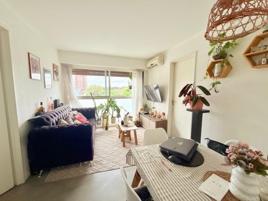 Venta Departamento 2 Amb Acassuso Con Baulera