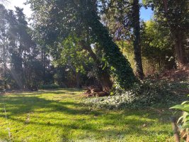 Venta Lote 600m2 en Casco Histórico de San Isidro