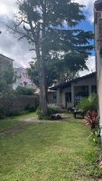 Venta Casa 3 Ambientes Con Jardin Y Patio Olivos