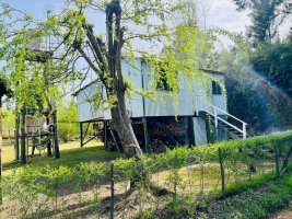 Arroyo Espera House, Isla Delta Tigre