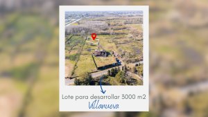Local Olivos A Metros Municipalidad Ideal Inversor