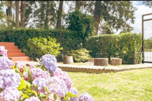 3-Room House in the Delta del Tigre