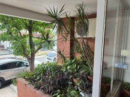 Two-room Apartment, Olivos