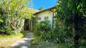 FOR RENT House 3?bedroom with Pool and Garden.