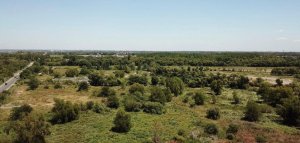 Lote En Venta Barrio San Pedro- Benavidez-Financ.