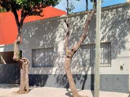 Casa 5 Amb Cochera,Terraza, Jardin-Olivos