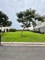Oportunidad Lote Interno Castaños Nordelta venta