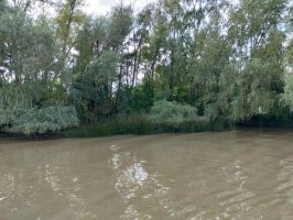 Lote En Delta De Tigre Primera Sección